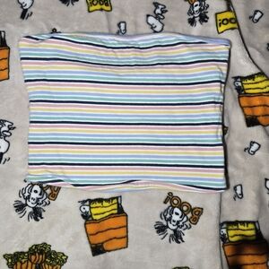 PacSun Multicolor Striped Crop Top